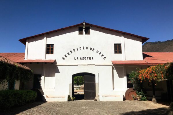 Tour del café por la finca la Zotea
