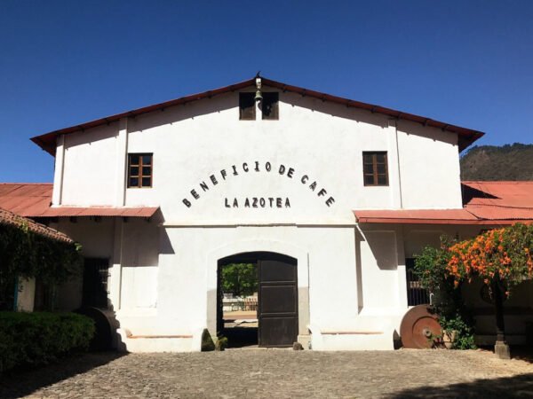 Tour del café por la finca la Zotea